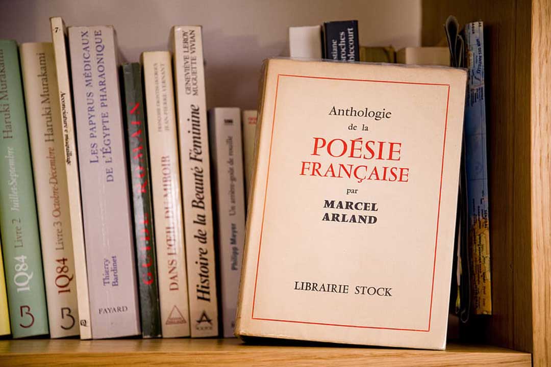 معروف ترین و بهترین رمان های فرانسوی